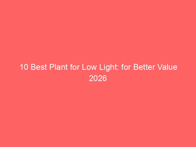 10 Best Plant for Low Light: for Better Value 2026