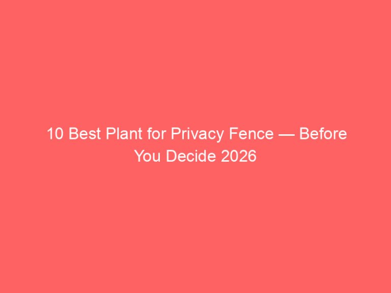 10 Best Plant for Privacy Fence — Before You Decide 2026