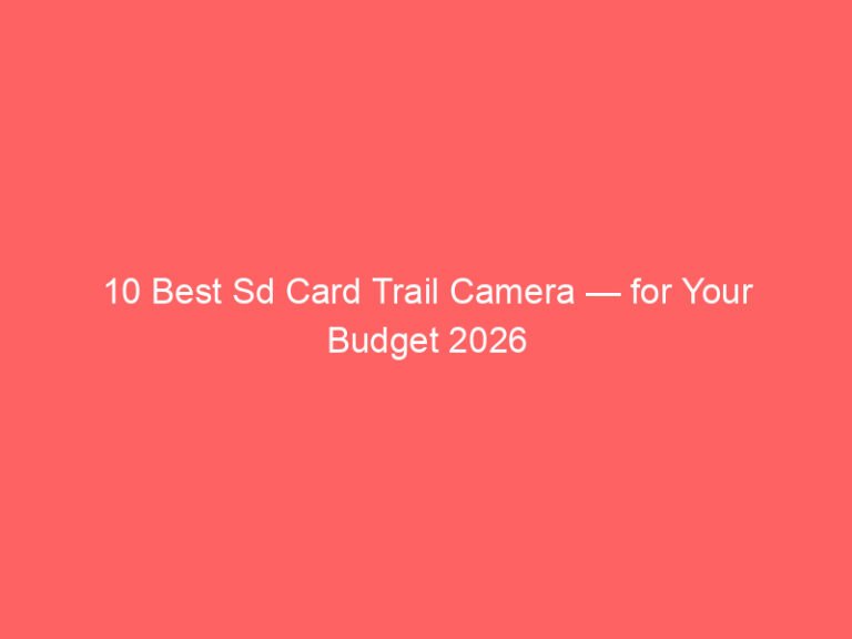 10 Best Sd Card Trail Camera — for Your Budget 2026