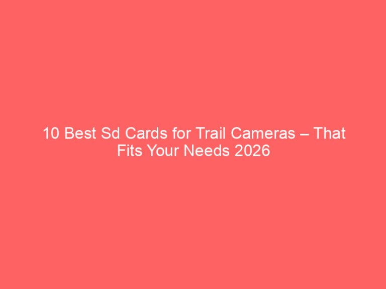 10 Best Sd Cards for Trail Cameras – That Fits Your Needs 2026