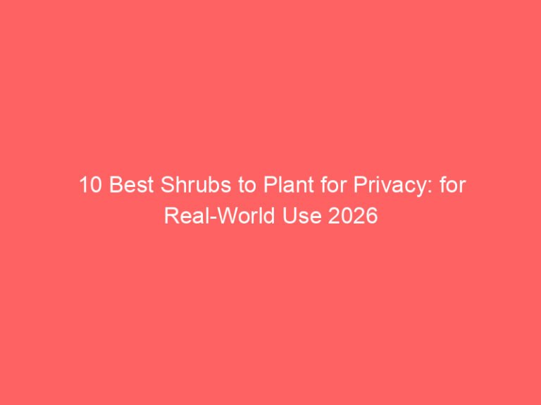 10 Best Shrubs to Plant for Privacy: for Real-World Use 2026