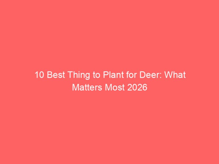 10 Best Thing to Plant for Deer: What Matters Most 2026