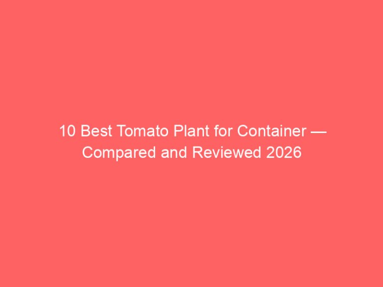 10 Best Tomato Plant for Container — Compared and Reviewed 2026