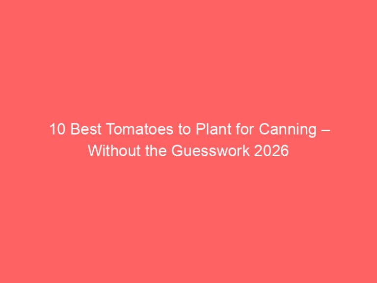 10 Best Tomatoes to Plant for Canning – Without the Guesswork 2026