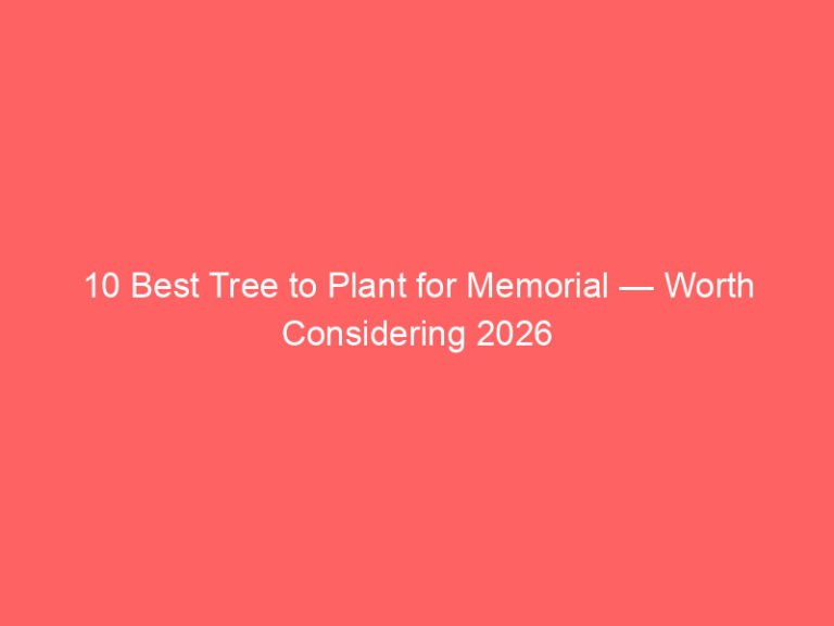 10 Best Tree to Plant for Memorial — Worth Considering 2026