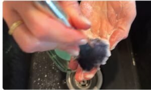 Dishwasher vs Hand Wash: How to Properly Clean Your Makeup Brushes