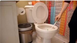 Can You Wash Makeup Brushes in a Dishwasher? The Truth About Shortcuts