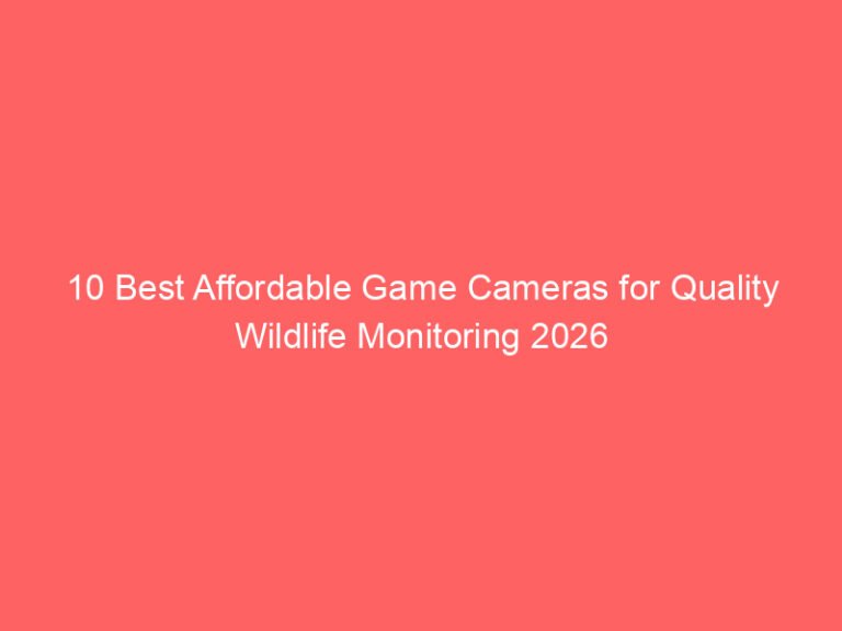 10 Best Affordable Game Cameras for Quality Wildlife Monitoring 2026
