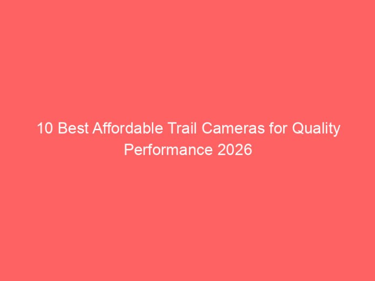 10 Best Affordable Trail Cameras for Quality Performance 2026