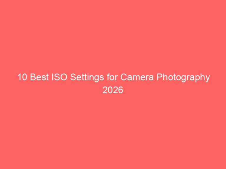 10 Best ISO Settings for Camera Photography 2026