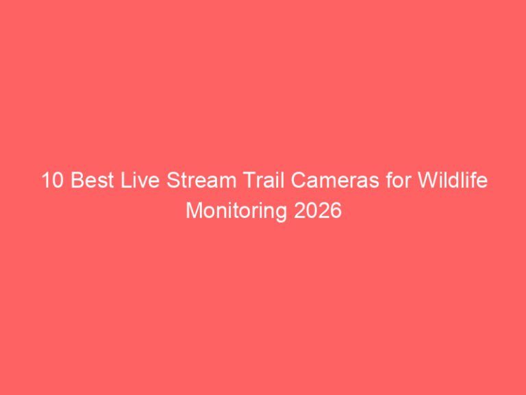 10 Best Live Stream Trail Cameras for Wildlife Monitoring 2026