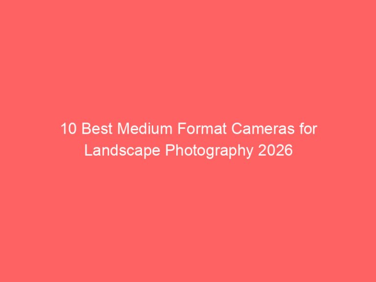 10 Best Medium Format Cameras for Landscape Photography 2026