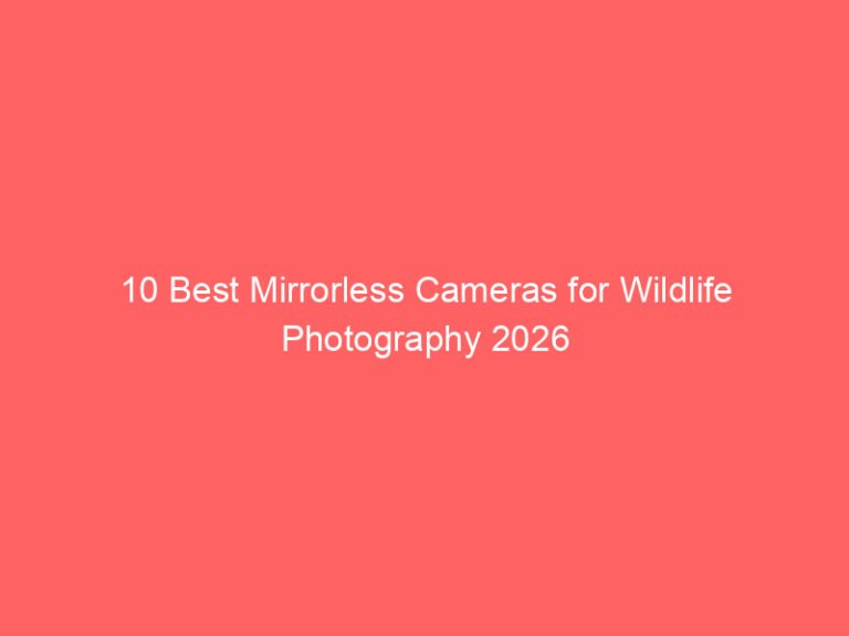 10 Best Mirrorless Cameras for Wildlife Photography 2026