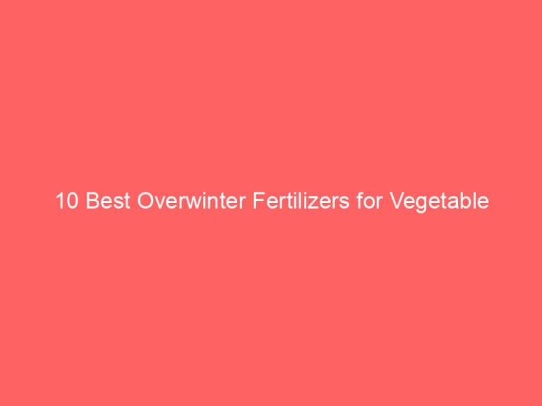 10 Best Overwinter Fertilizers for Vegetable Garden in 2026