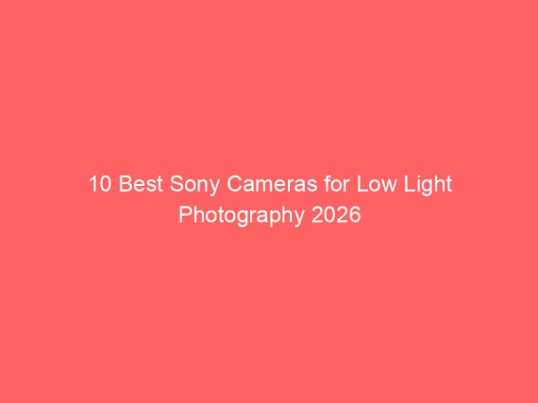 10 Best Sony Cameras for Low Light Photography 2026