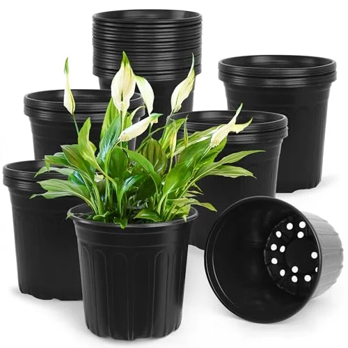 2 Gallon Garden Pots For Effective Plant Growth And Versatility 2026