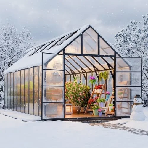 10×20 Greenhouse For Sale Premium Options For Outdoor Gardening Enthusiasts 2026