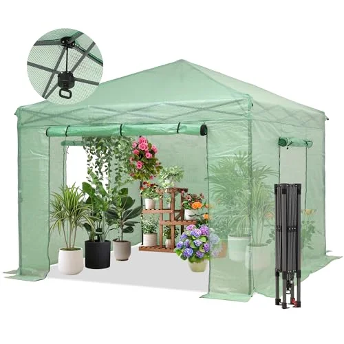10×10 Greenhouse For Sale Quality Options For Gardening Enthusiasts 2026