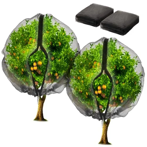 Fruit Trees For Greenhouses Essential Products For Optimal Growth 2026