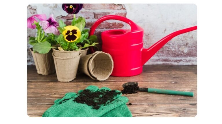 Best Fertilizers for Plants and Flowers