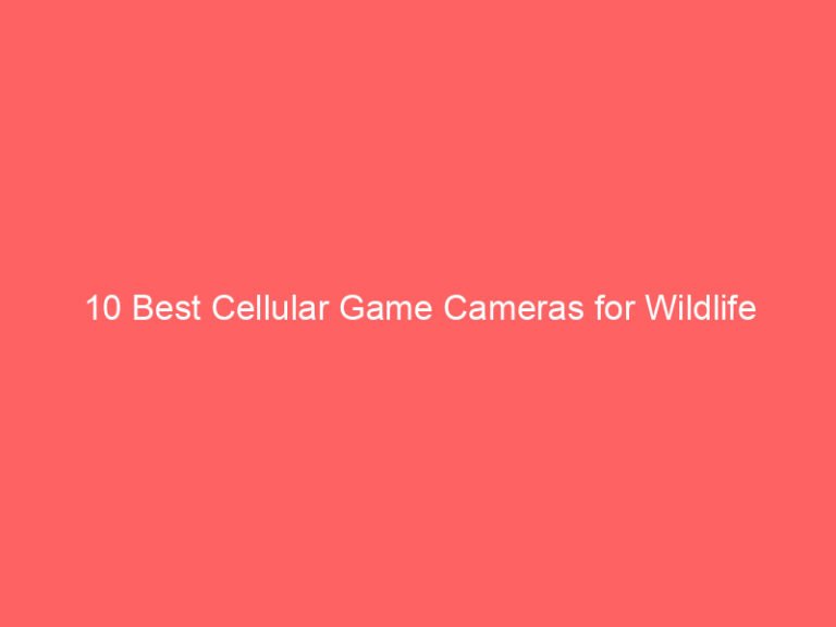 10 Best Cellular Game Cameras for Wildlife Monitoring and Security 2026