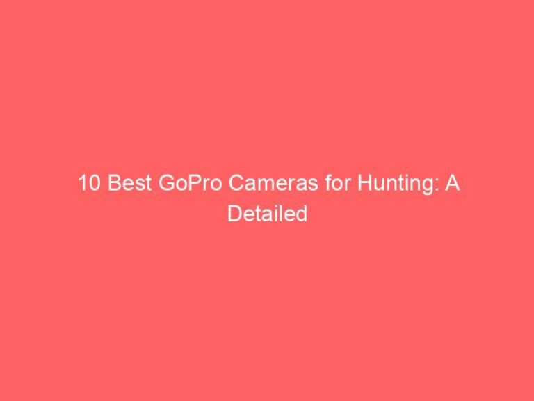 10 Best GoPro Cameras for Hunting: A Detailed Review 2026