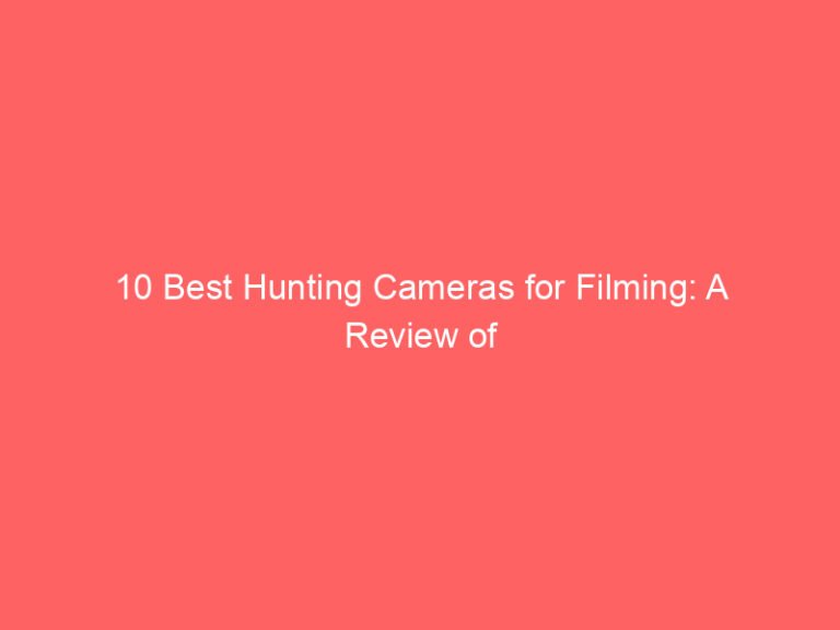 10 Best Hunting Cameras for Filming: A Review of Top Options 2026