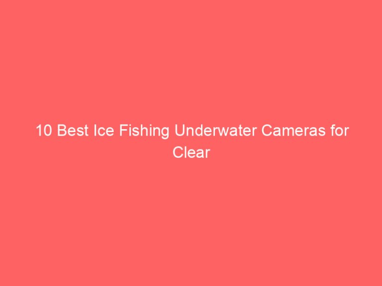 10 Best Ice Fishing Underwater Cameras for Clear Viewing 2026