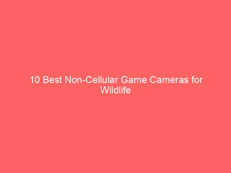 10 Best Non-Cellular Game Cameras for Wildlife Observation 2026