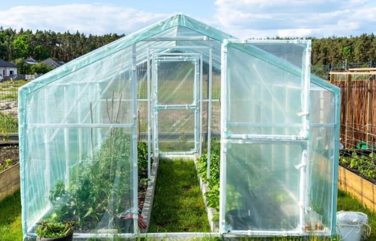 5 Disadvantages of Greenhouses You Should Know Before You Start