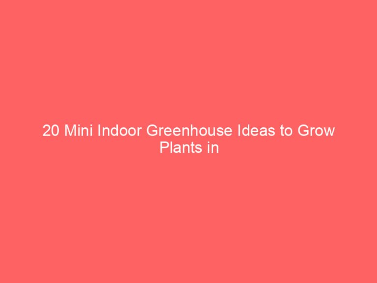 21 Mini Indoor Greenhouse Ideas to Grow Plants in Small Spaces Outdoor Garden