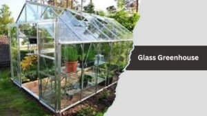 Glass Greenhouse