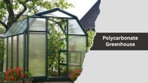 Polycarbonate Greenhouse
