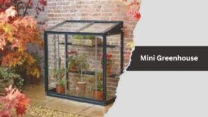 Mini Greenhouse