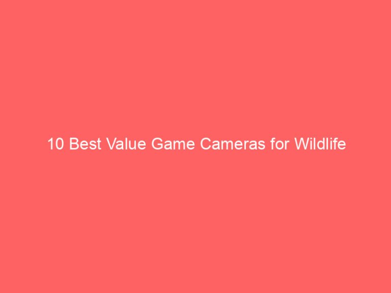 10 Best Value Game Cameras for Wildlife Observation and Security 2026