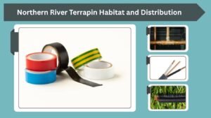 Northern River Terrapin Habitat and Distribution