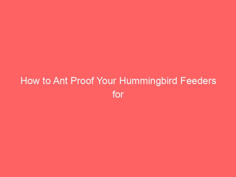 How to Ant Proof Your Hummingbird Feeders for Outdoors (Complete Guide)