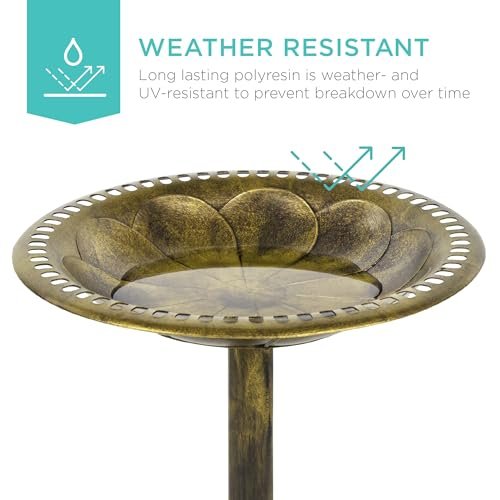 Best Bird Bath With Pedestal