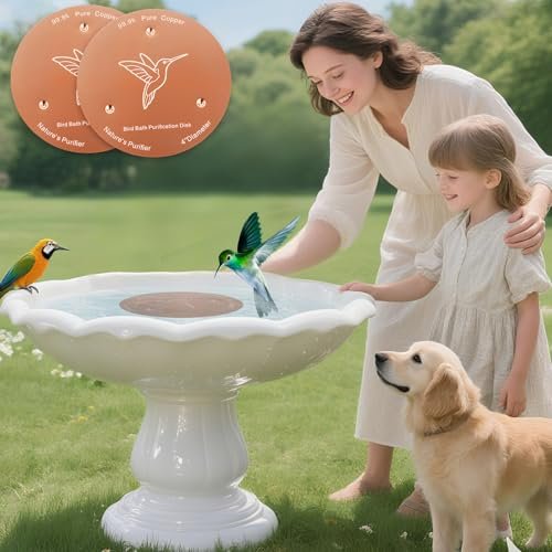 Best Copper Plate For Bird Bath