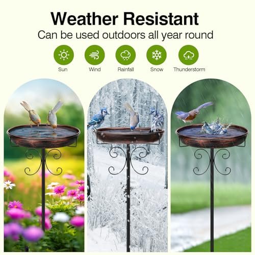 Best Bird Baths