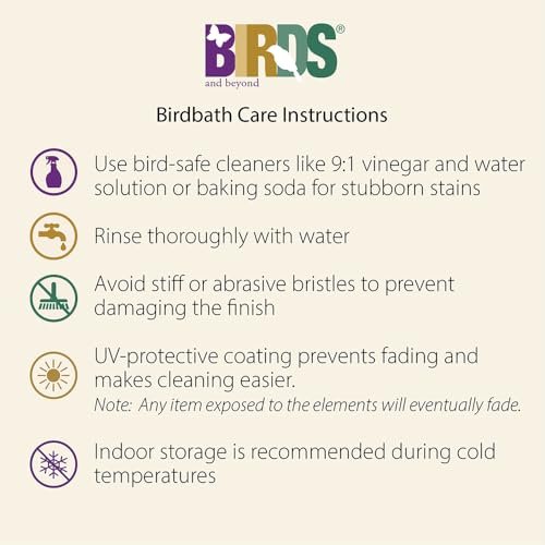 Best Concrete Bowl For Bird Bath