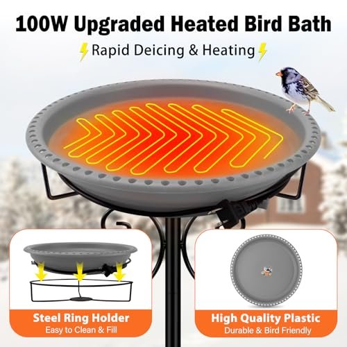 Best Bird Bath Heater With Thermostat