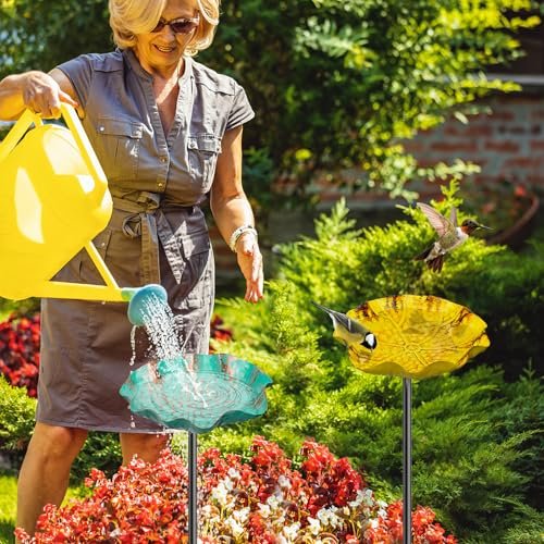 Best Bird Bath For Hummingbird