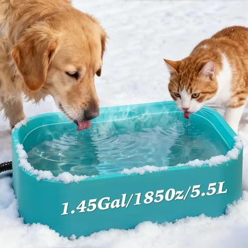 heated water bowl for chickens