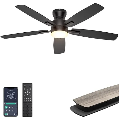 high end ceiling fans with light