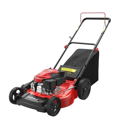 best lawn mower b&q