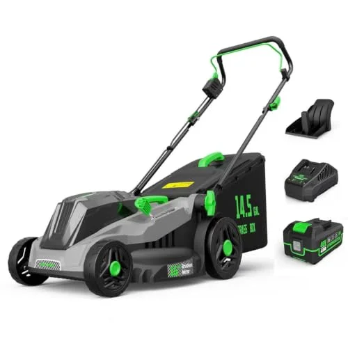 best lawn mower for elderly woman