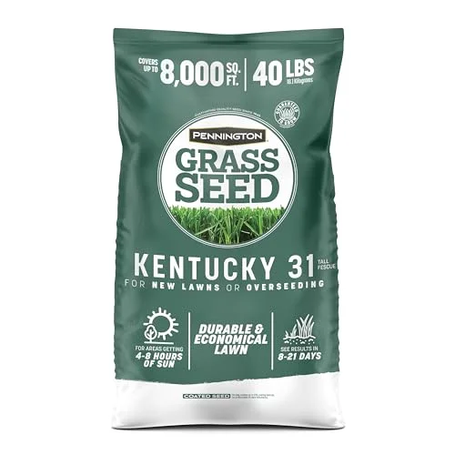 best lawn mower for fescue