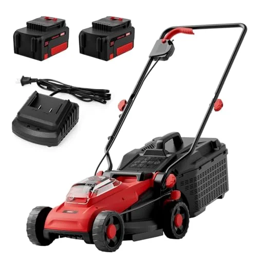 best lawn mower for grass