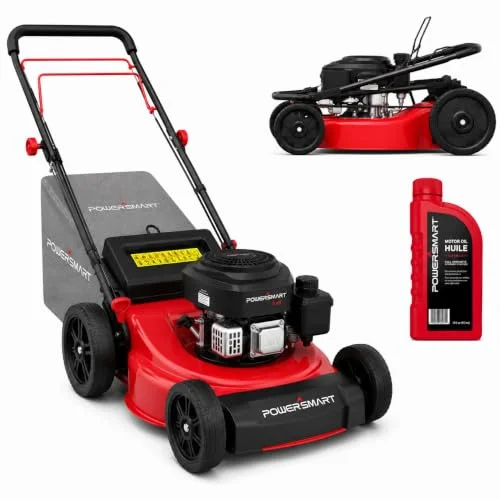 best lawn mower for the money 2026